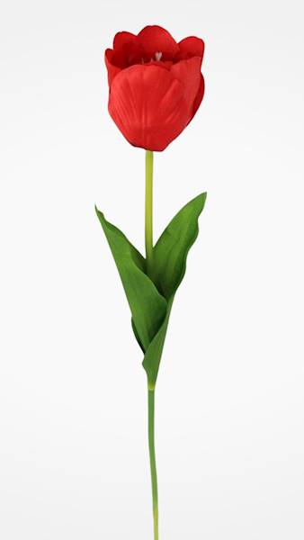 TULIPAN GAŁĄZKA 010011 MIX KOLOR