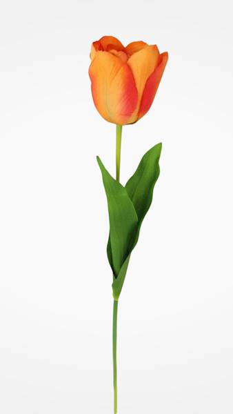 TULIPAN GAŁĄZKA 010011 MIX KOLOR