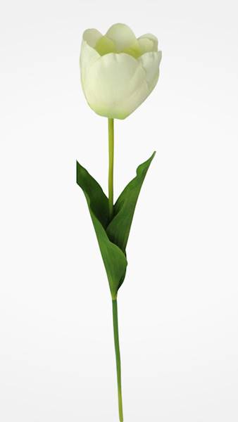 TULIPAN GAŁĄZKA 010011 MIX KOLOR