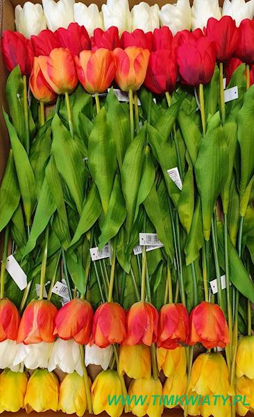 TULIPAN GAŁĄZKA 010011 MIX KOLOR
