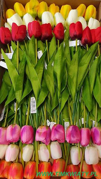 TULIPAN GAŁĄZKA 010008 MIX KOLOR