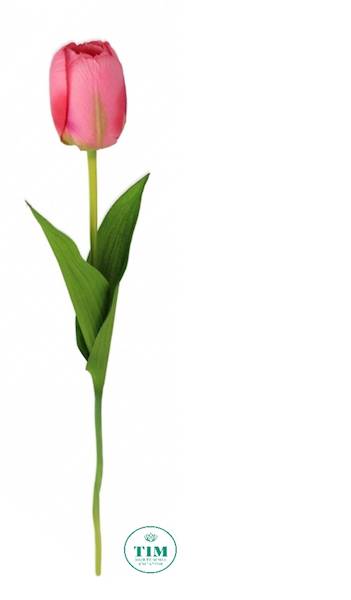 TULIPAN GAŁĄZKA 010008 MIX KOLOR