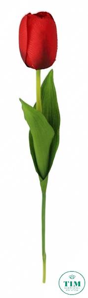 TULIPAN GAŁĄZKA 010008 MIX KOLOR