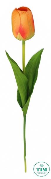 TULIPAN GAŁĄZKA 010008 MIX KOLOR