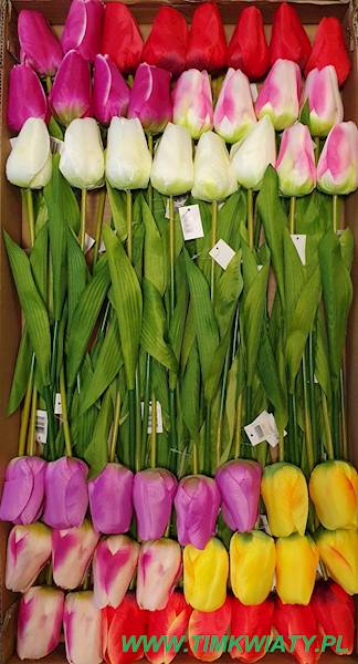 TULIPAN GAŁĄZKA FJ040 MIX KOLOR