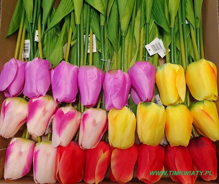 TULIPAN GAŁĄZKA FJ040 MIX KOLOR