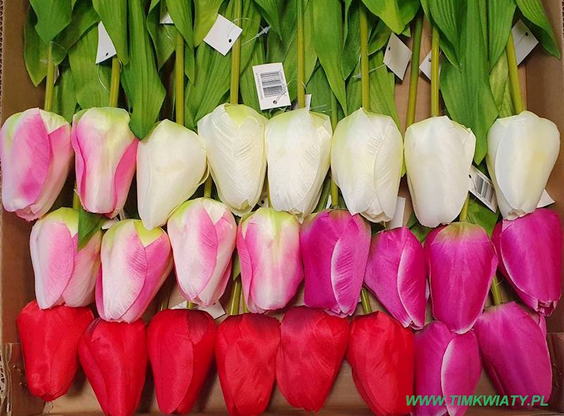 TULIPAN GAŁĄZKA FJ040 MIX KOLOR
