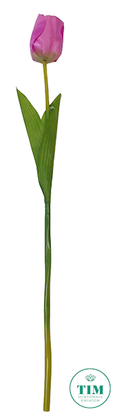 TULIPAN GAŁĄZKA FJ040 MIX KOLOR
