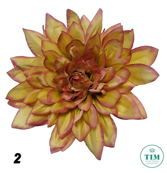 LILIA WODNA X6 HRF6242XL MIX KOLOR