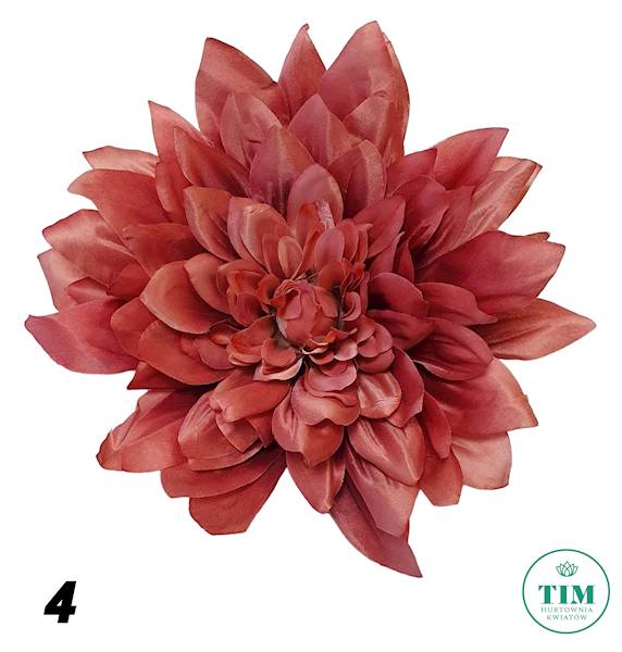 LILIA WODNA X6 HRF6242XL MIX KOLOR