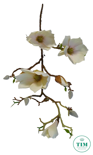 MAGNOLIA GAŁĄZKA SUN753 KREMOWY