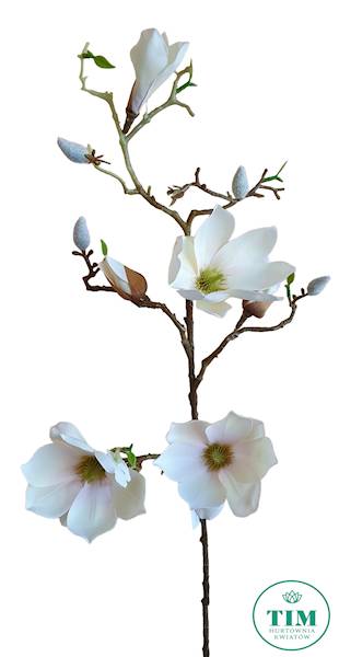 MAGNOLIA GAŁĄZKA SUN753 KREMOWY