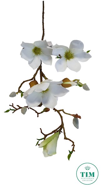 MAGNOLIA GAŁĄZKA SUN753 BIAŁY