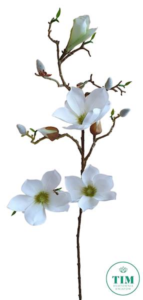 MAGNOLIA GAŁĄZKA SUN753 BIAŁY