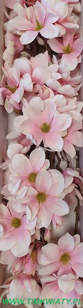 MAGNOLIA GAŁĄZKA SUN488 RÓŻOWY