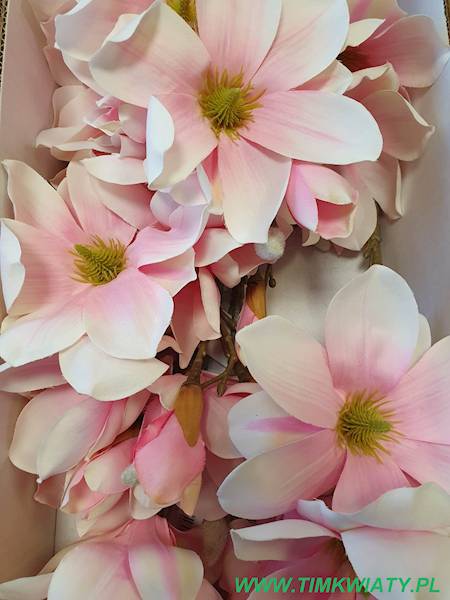 MAGNOLIA GAŁĄZKA SUN488 RÓŻOWY