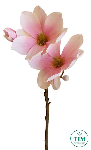 MAGNOLIA GAŁĄZKA SUN488 RÓŻOWY