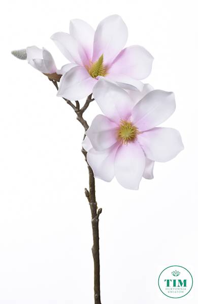 MAGNOLIA GAŁĄZKA SUN488 RÓŻOWY