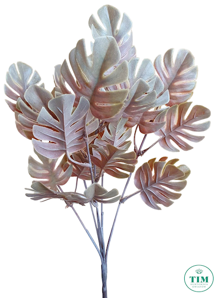 LIŚĆ MONSTERA BUKIET EV150 MIX KOLOR
