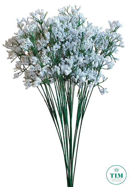 GIPSÓWKA DODATEK X12 FX30005 BIAŁY