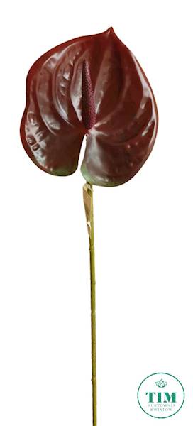 ANTHURIUM GAŁĄZKA GUMOWANE JX016 MIX KOLOR