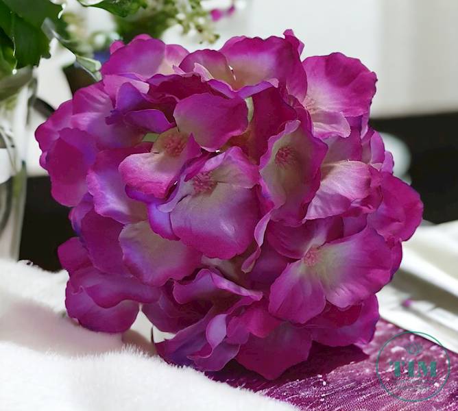 HORTENSJA WYROBOWA X36 SUN644 PURPUROWY