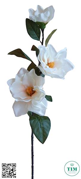MAGNOLIA GAŁĄZKA KX74371 MIX KOLOR