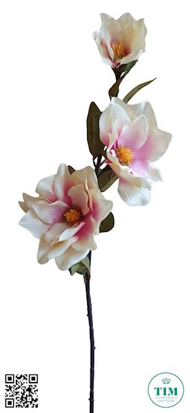 MAGNOLIA GAŁĄZKA KX74371 MIX KOLOR