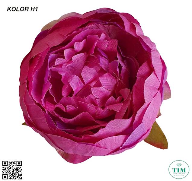 PIWONIA WYROBOWAX12 KX15184 MIX KOLOR