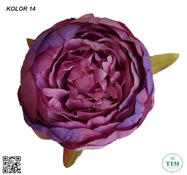 PIWONIA WYROBOWAX12 KX15184 MIX KOLOR