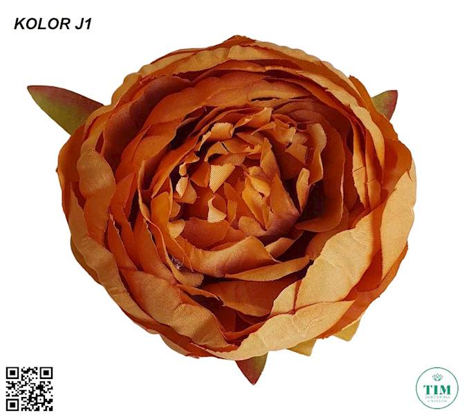 PIWONIA WYROBOWAX12 KX15184 MIX KOLOR