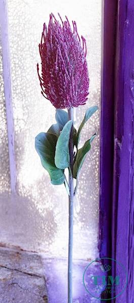 PROTEA GAŁĄZKA P103203 MIX3 MIX KOLOR