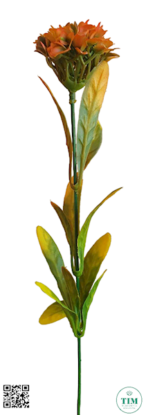 DODATEK X12 Z345 MIX KOLOR
