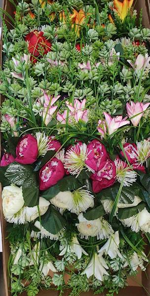 PIWONIA LILIA BUKIET KX9363 MIX KOLOR