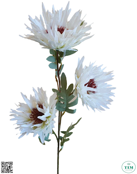 ASTER GAŁĄZKA 060306 MIX KOLOR