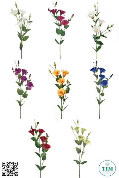 EUSTOMA GAŁĄZKA SUN345 MIX7 MIX KOLOR