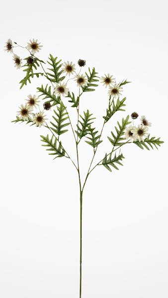 ASTER GAŁĄZKA SUN303 KREMOWY