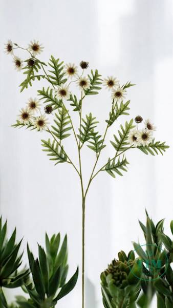 ASTER GAŁĄZKA SUN303 KREMOWY