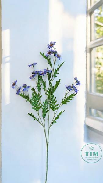 ASTER GAŁĄZKA SUN303 FIOLETOWY