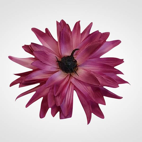 ASTER WYROBOWY X6 FME071602 MIX KOLOR
