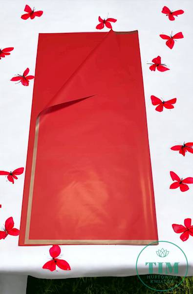FOLIA Z RAMKĄ 60X60CM CZERWONY