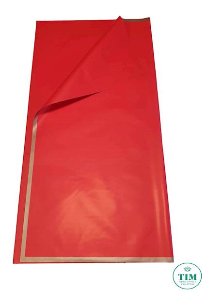 FOLIA Z RAMKĄ 60X60CM CZERWONY