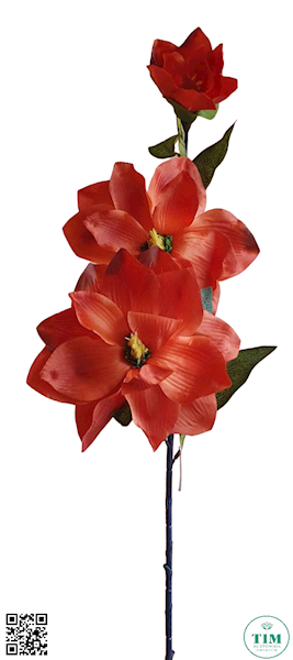 MAGNOLIA GAŁĄZKA MIXG LY701G MIX KOLOR 