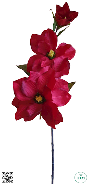 MAGNOLIA GAŁĄZKA MIXG LY701G MIX KOLOR 