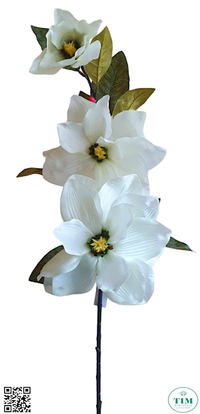 MAGNOLIA GAŁĄZKA MIXG LY701G MIX KOLOR 