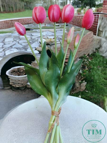 TULIPAN BUKIET GUMOWANY TLRJ071 RÓŻOWY CIEMNY
