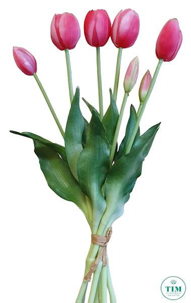 TULIPAN BUKIET GUMOWANY TLRJ071 RÓŻOWY CIEMNY