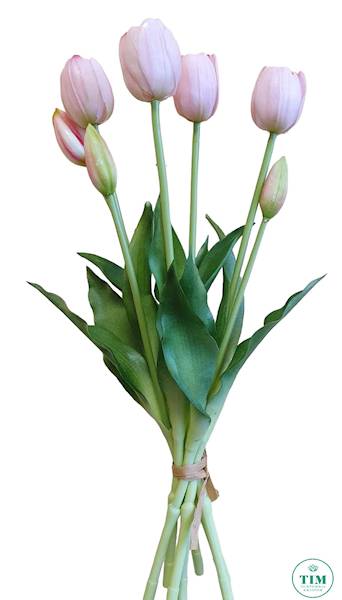TULIPAN BUKIET GUMOWANY TLRJ076 RÓŻOWY JASNY