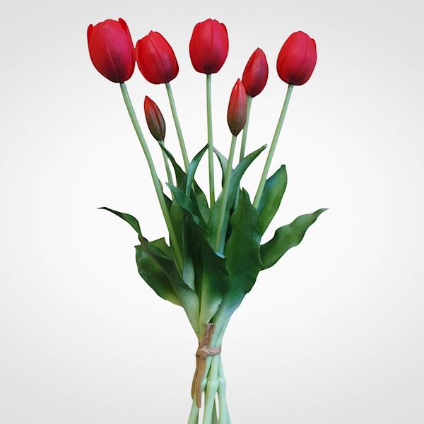 TULIPAN BUKIET GUMOWANY TLRJ074 CZERWONY