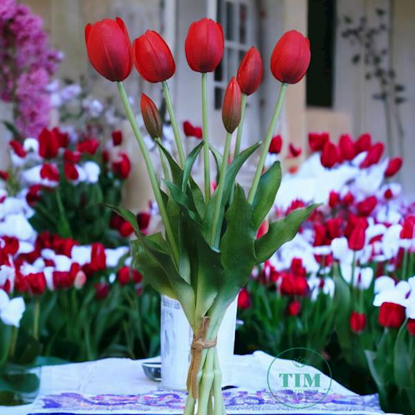 TULIPAN BUKIET GUMOWANY TLRJ074 CZERWONY